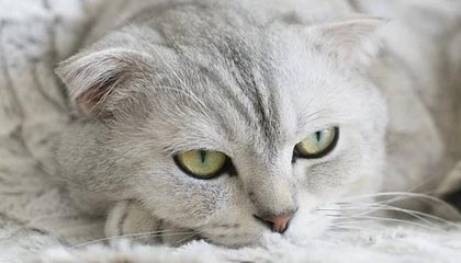 藏得最深的一层：91大事件每日大赛回看时才发现不对劲，像在提醒还有下一层：真正刺痛人的反而是最轻描淡写那句