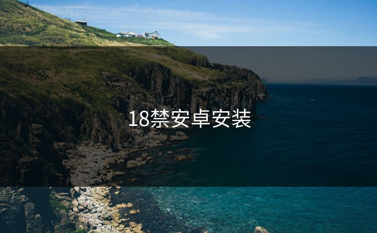 18禁安卓安装