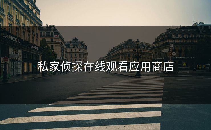 私家侦探在线观看应用商店