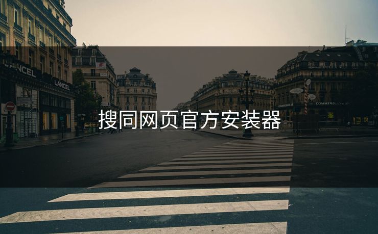 搜同网页官方安装器