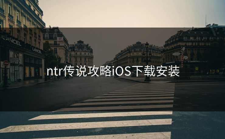 ntr传说攻略iOS下载安装