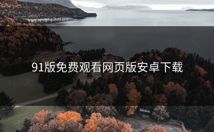 91版免费观看网页版安卓下载