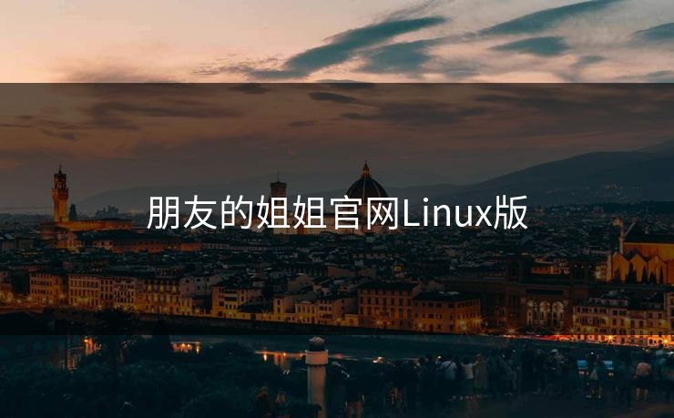 朋友的姐姐官网Linux版